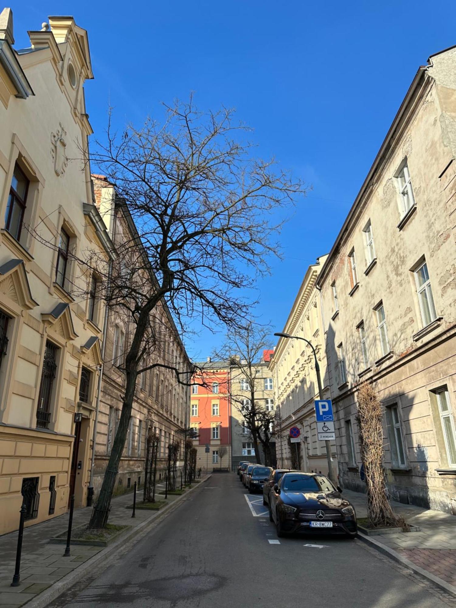 Perfect Place To Stay In Krakow City Center 40M2 W4 エクステリア 写真